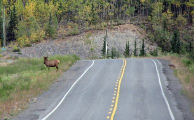 Einkauf in Whitehorse