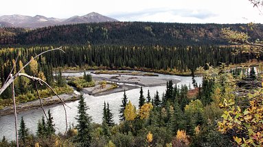 Denali Highway