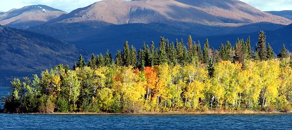 Morgenstimmung am Lake Laberge