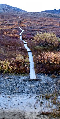 Pinnel Mtn. Trail