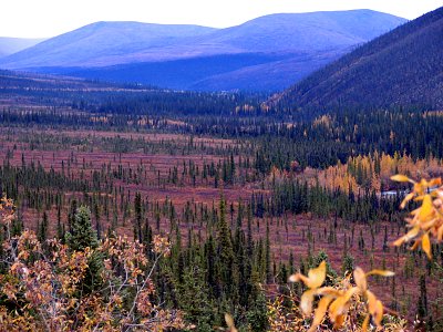 Steese Highway